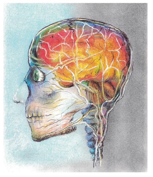 Człowiek kultura historia część 1: człowiek