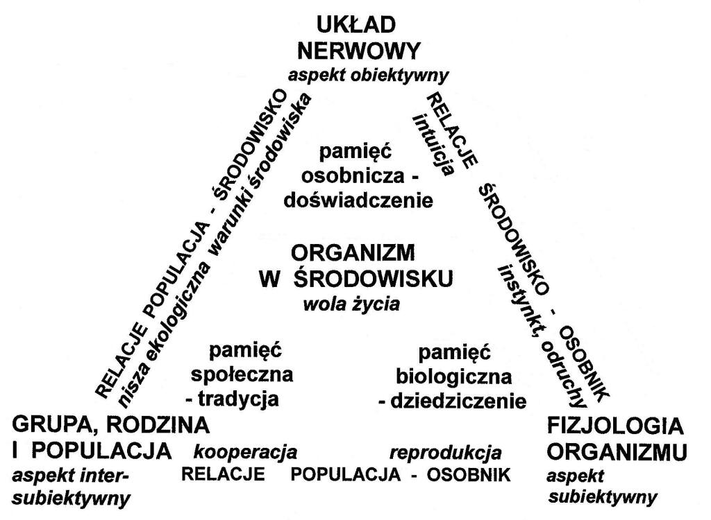 Poziom biologiczny - żywy organizm i osobnik