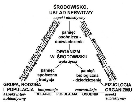 Poziom biologiczny - żywy organizm i osobnik