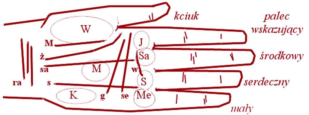 Historia nauki i szkolnictwa